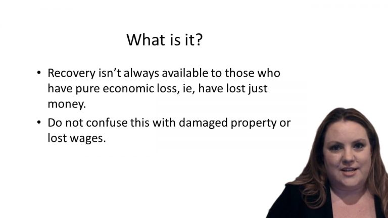 Della Penna v. Toyota Motor Sales, U.S.A., Inc.